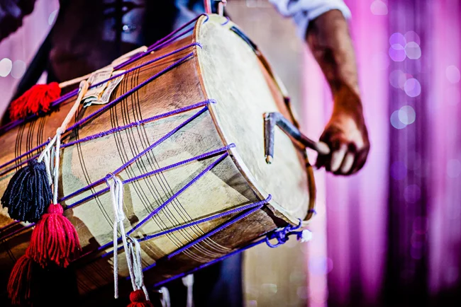 ProfessionaDholPlayers